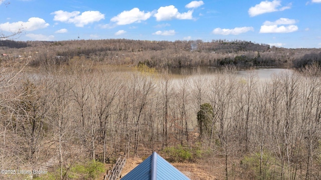 1478 Robbin Ln, Cub Run, KY 42729 - view of landscape featuring a water view and a view of trees