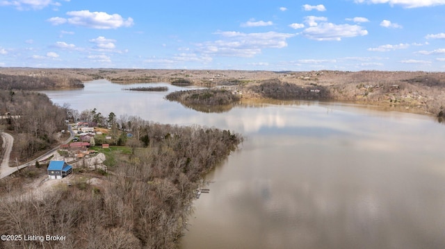 1478 Robbin Ln, Cub Run, KY 42729 - drone / aerial view with a water view