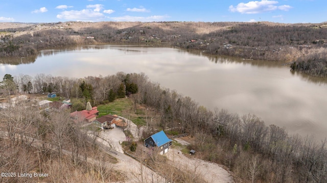 1478 Robbin Ln, Cub Run, KY 42729 - aerial view featuring a water view and a wooded view