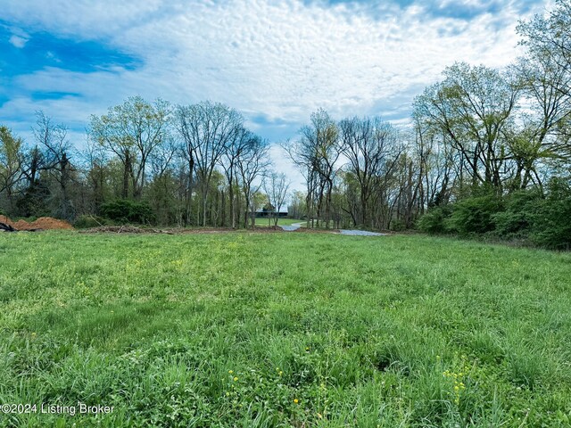 1157 Hannah Rd, Shelbyville, KY 40065 - photo 6