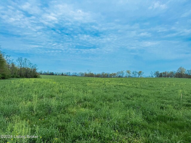 1157 Hannah Rd, Shelbyville, KY 40065 - photo 7
