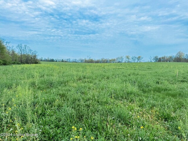 1157 Hannah Rd, Shelbyville, KY 40065 - photo 8