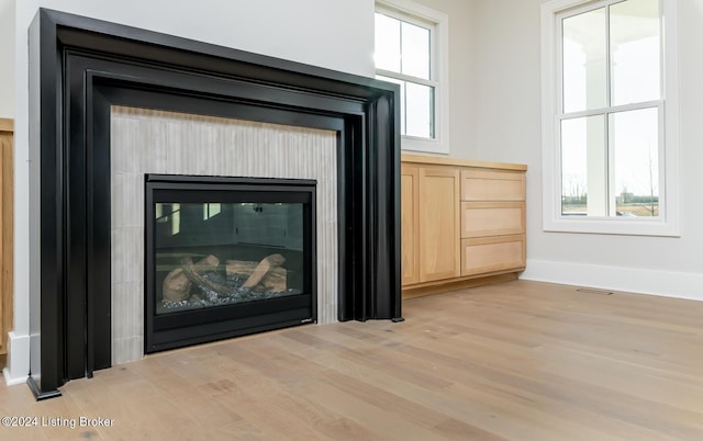 room details with wood-type flooring