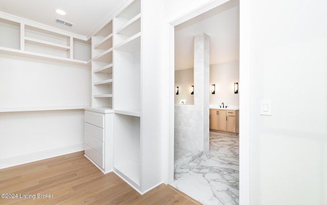 spacious closet with light wood-type flooring and sink