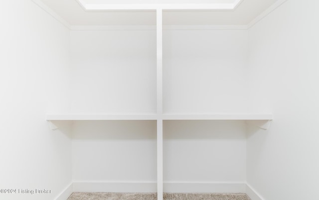 spacious closet featuring carpet