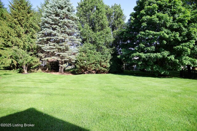 9602 Moorfield Cir, Louisville, KY 40241 - view of green lawn