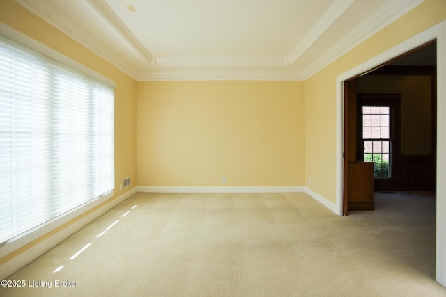 9602 Moorfield Cir, Louisville, KY 40241 - spare room with light carpet, crown molding, baseboards, and a tray ceiling