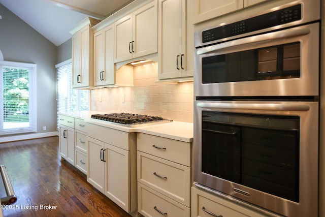 9602 Moorfield Cir, Louisville, KY 40241 - kitchen with stainless steel appliances, lofted ceiling, tasteful backsplash, light countertops, and dark wood-style floors