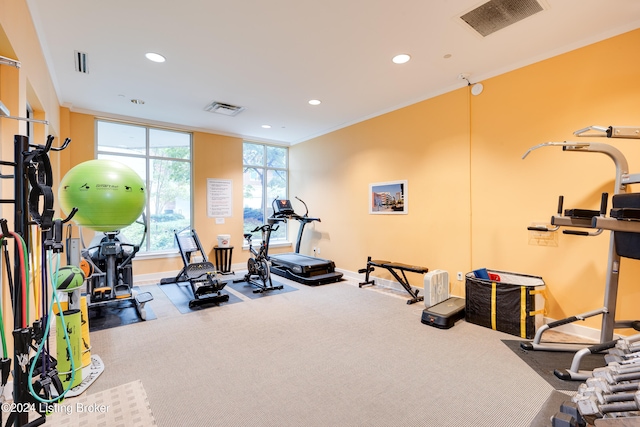 exercise room with crown molding and carpet flooring