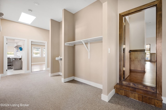 stairs with carpet floors and a skylight