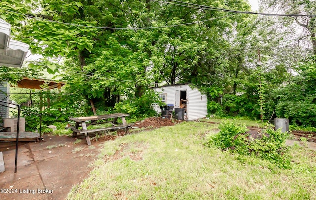 view of yard with a storage shed