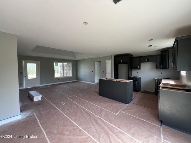 kitchen featuring a center island and a raised ceiling