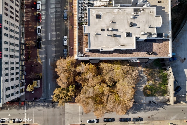 view of bird's eye view