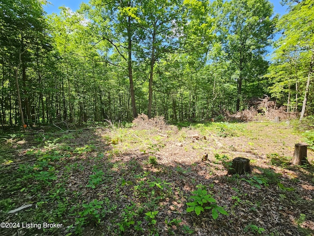 Listing photo 3 for 4B Wooldridge Ferry Rd, Radcliff KY 42701