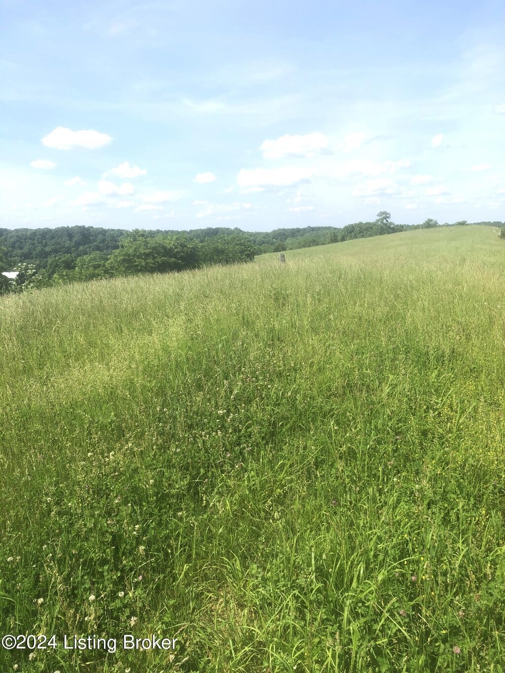 6S Chowning Ln, Bloomfield, KY 40008