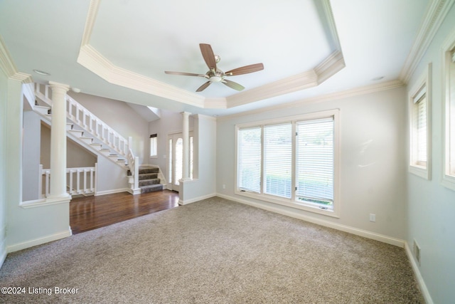 spare room featuring a tray ceiling, a healthy amount of sunlight, and wood-type flooring