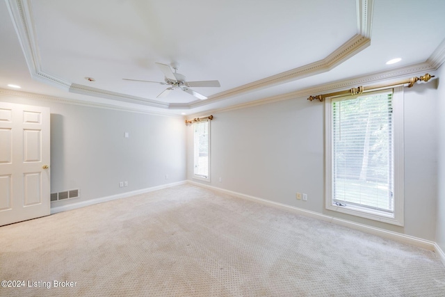 unfurnished room with a wealth of natural light, a tray ceiling, and ornamental molding