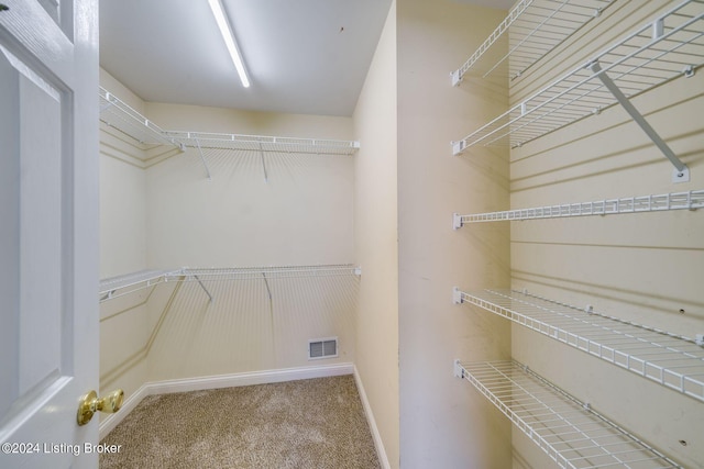 walk in closet featuring carpet floors