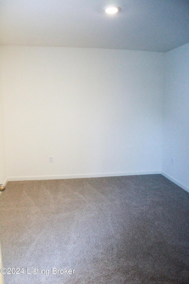 spare room with carpet