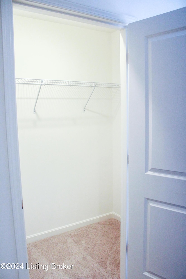 walk in closet with light colored carpet