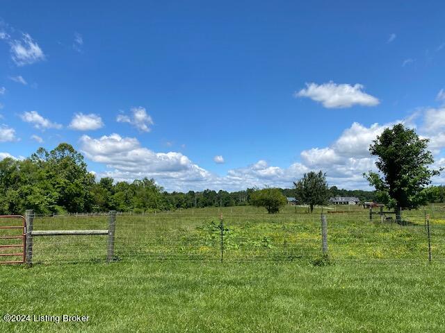 view of yard with a rural view