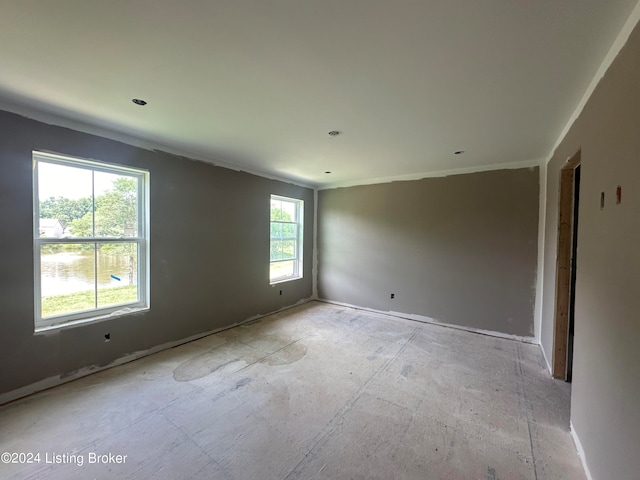 spare room with a wealth of natural light and crown molding