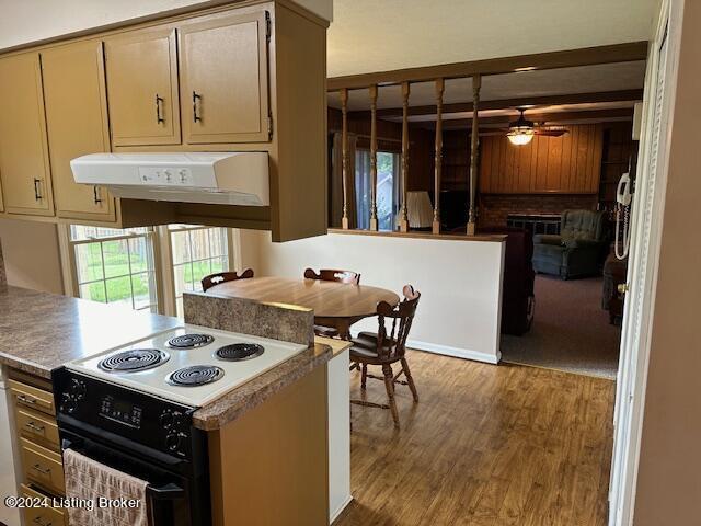 kitchen featuring black range with electric cooktop, hardwood / wood-style floors, and ceiling fan