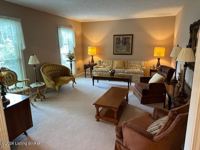 carpeted living room featuring a textured ceiling