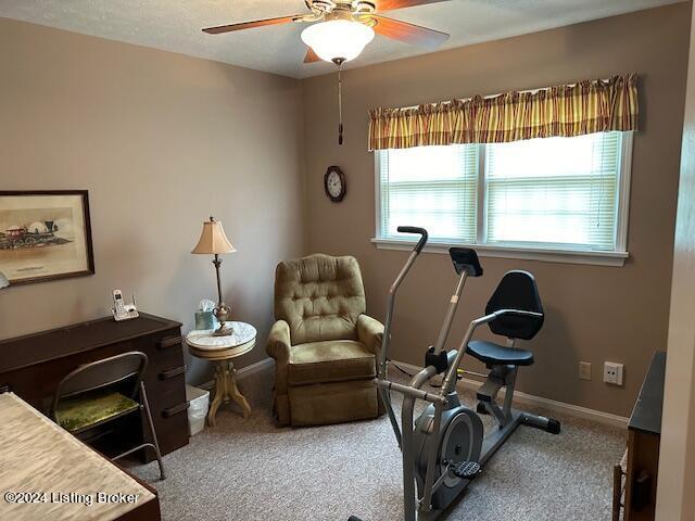 workout room featuring ceiling fan and carpet flooring