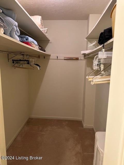 walk in closet with dark colored carpet