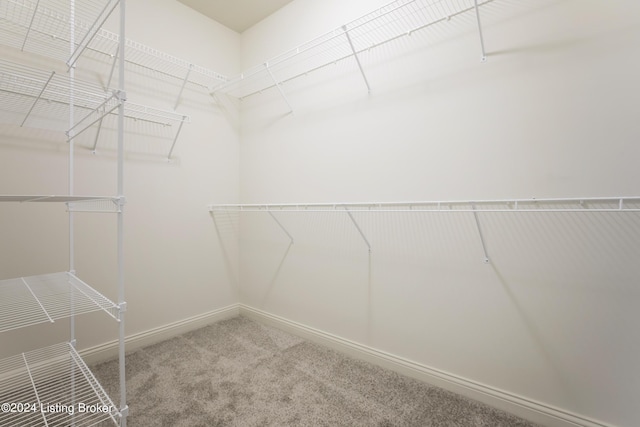 walk in closet featuring carpet floors