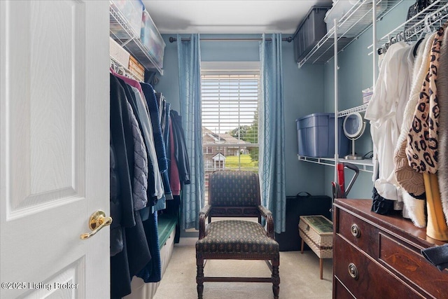 9515 Rustling Tree Way, Louisville, KY 40291 - spacious closet with light carpet