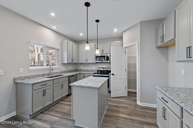 kitchen featuring dark wood-type flooring, a center island, stainless steel appliances, and sink