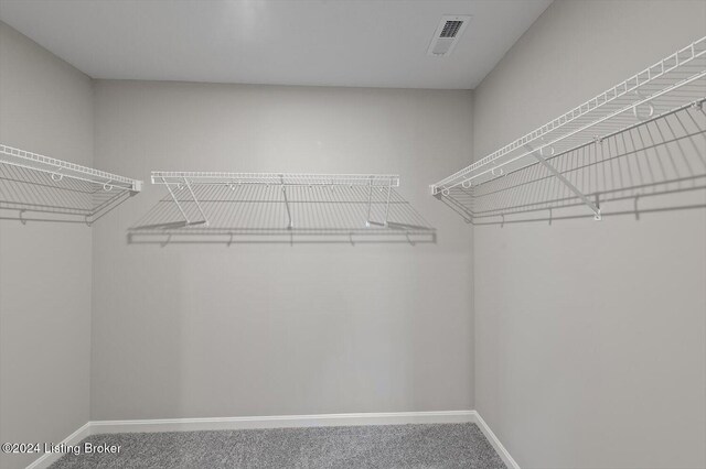 spacious closet featuring carpet floors