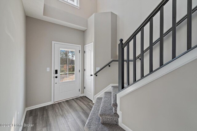 foyer entrance with hardwood / wood-style flooring