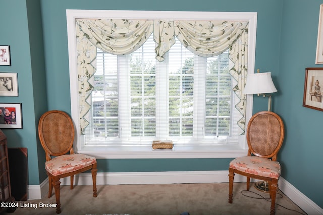 living area with carpet flooring