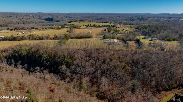 drone / aerial view featuring a rural view