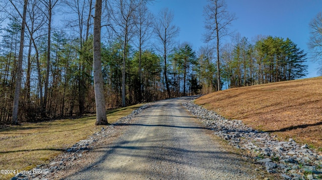 view of road