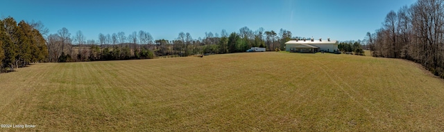 view of yard featuring a rural view