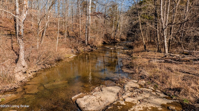 view of local wilderness