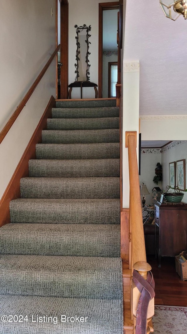 stairway featuring wood-type flooring