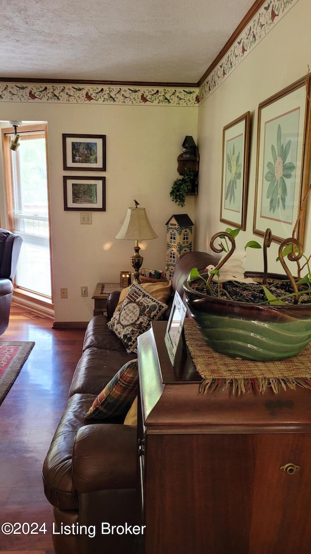 living room featuring dark wood-type flooring and a textured ceiling