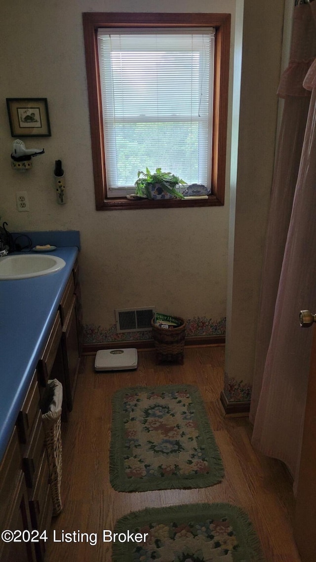 bathroom featuring wood-type flooring and vanity