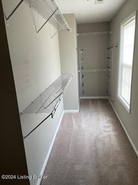 walk in closet with carpet