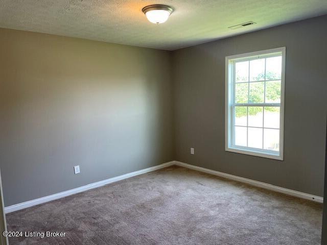 spare room featuring carpet and a textured ceiling