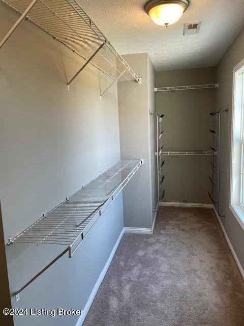 spacious closet with carpet