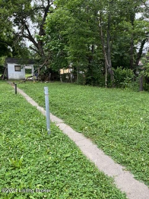 view of yard with a storage shed