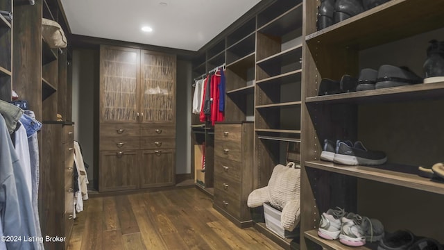 spacious closet featuring dark wood-type flooring