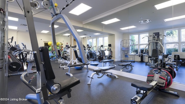 gym featuring a wealth of natural light