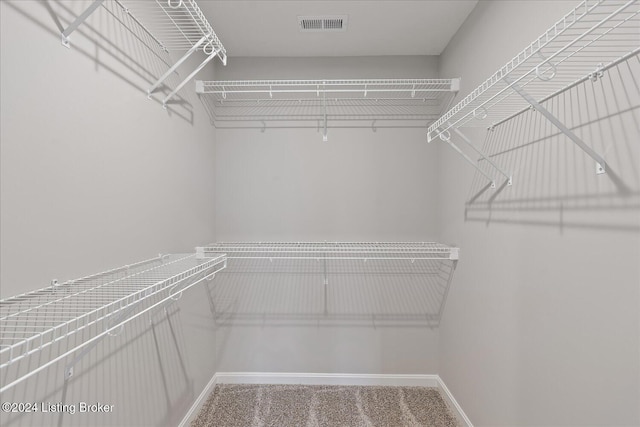 spacious closet featuring carpet